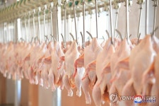북한 광천닭공장 조업식 진행