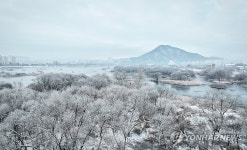 한파에 활짝 핀 소양강 상고대