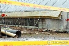 9년 만에 AI 발생한 광주 농장