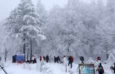 등산객 북적이는 백두대간 대관령