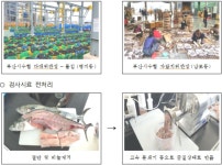부산시 수산자원연구소, 수산물 안전성 조사 확대