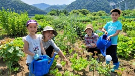 직접 길러먹어요…서울 친환경농장 4천495구획 내달 1일 분양