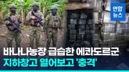 [영상] 바나나농장 지하창고 열어보고 충격…포대 500개에 코카인 22t