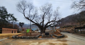 [청주소식] 삼항2리·두모1리 새뜰마을사업 마무리