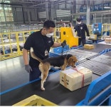 검역본부, 내달 18일까지 검역 강화…가축전염병 유입방지