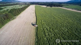 환경친화축산농장 제동목장 목초 수확 작업