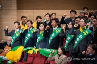 녹색정의당 출범