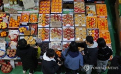 과일 고르는 시민들