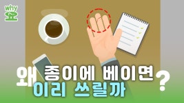 [Why요?] 얇은 종이에 베였는데 왜 이리 쓰릴까