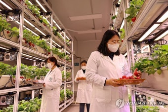대전시, 도심 공실 건물 활용한 '대전팜' 개장