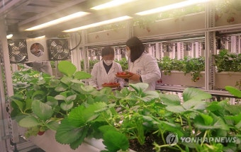 공실 활용한 대전형 스마트팜