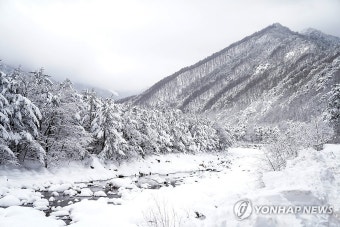 설악산 설경 장관