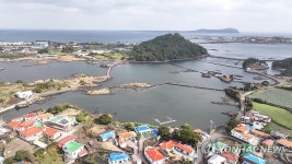 오조리 철새도래지 AI 방역 비상