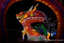 갑진년 맞아 중국서 용 영문표기 드래곤→룽 바꿔야 왜?