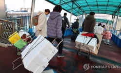 여객선 향하는 귀성객들