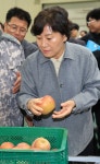 선별되는 사과 살펴보는 송미령 장관