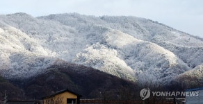 눈이불 덮은 춘천 대룡산
