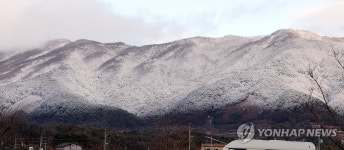 밀가루 뿌린 듯 눈쌓인 춘천 대룡산
