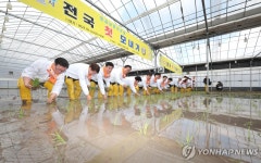 임금님표 이천쌀 첫 모내기 행사