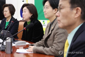 심상정, 녹색정의당 새 원내대표로