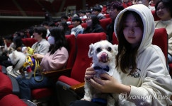 반려견들 우리도 새내기 대학생