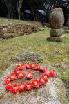 강진 백련사 동백축제