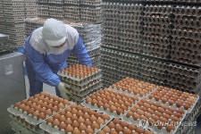 스마트팜 계란 농장