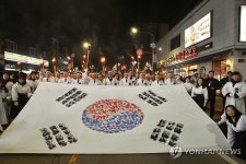 아우내 봉화제 횃불 행진