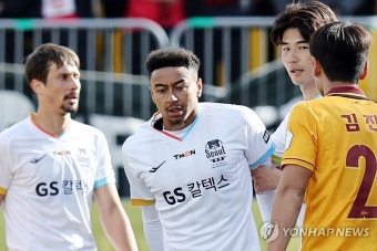 서울FC 린가드 진정시키는 기성용