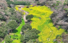 서귀포 엉덩물 계곡의 봄