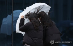 비바람 부는 경칩