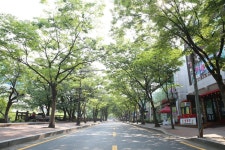 안양 예술공원로 밝아진다…시, 4월까지 가로등 조도 개선