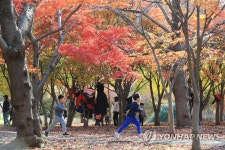 제주역사관 짓는다고 부족한 신산공원 녹지공간 줄이나