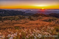 황매산군립공원 주차장 사용료 오른다…합천군 조례안 공포