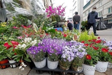 활기 띄는 꽃시장