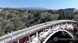 봄날의 서귀포 산책