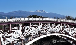 봄날의 서귀포 산책