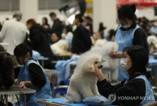 애정과 정성을 다해서