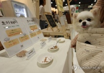 간식 사주세요
