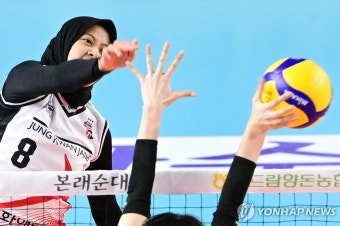 '현대건설·대한항공 축배' 프로배구 정규리그 끝…21일 PS 시작