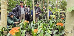 활짝 핀 군자란 꽃