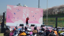 응봉산 개나리·송정마을 벚꽃…성동구 봄꽃 축제