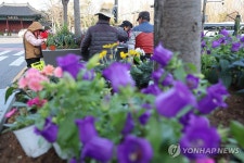 봄꽃으로 꾸며지는 광장