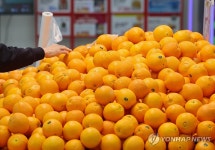 과일밥상상하점 | 들썩이는 밥상 물가…과일 가격 급등