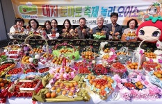 부산 강서구 대저토마토 축제 23일부터 이틀간