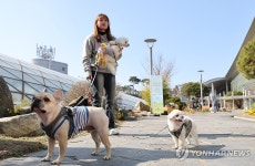 펫가든에서의 산책