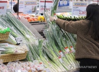 대파 소매가격 하락세…aT 한달간 40% 급락