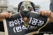 동물보호단체, 강아지 번식장 폐쇄하라