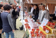 북적이는 논산딸기축제장