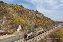 따뜻한 봄 날씨, 응봉산은 개나리로